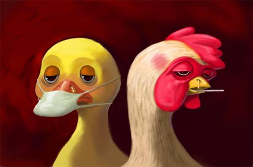 流感，还是感冒？ 症状比一比